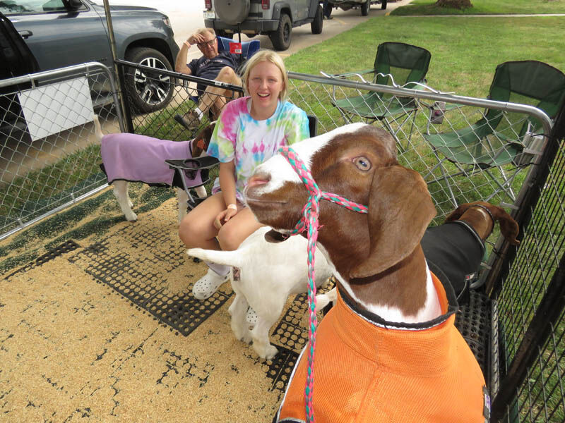 Goats, Claire Gangwish, Kearney, Kevin